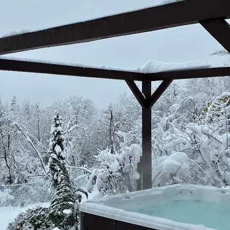 בית נופש Forrest House