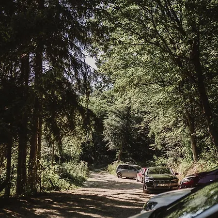 בית נופש Forrest House